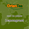Ceai iarba de lamaie Lemongrass - 80g