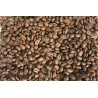 Cafea de specialitate Etiopia Yirgacheffe